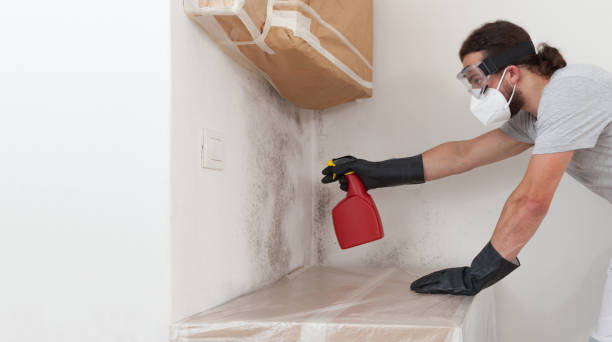 Professional Mold Removal technician working in Kingston, NY